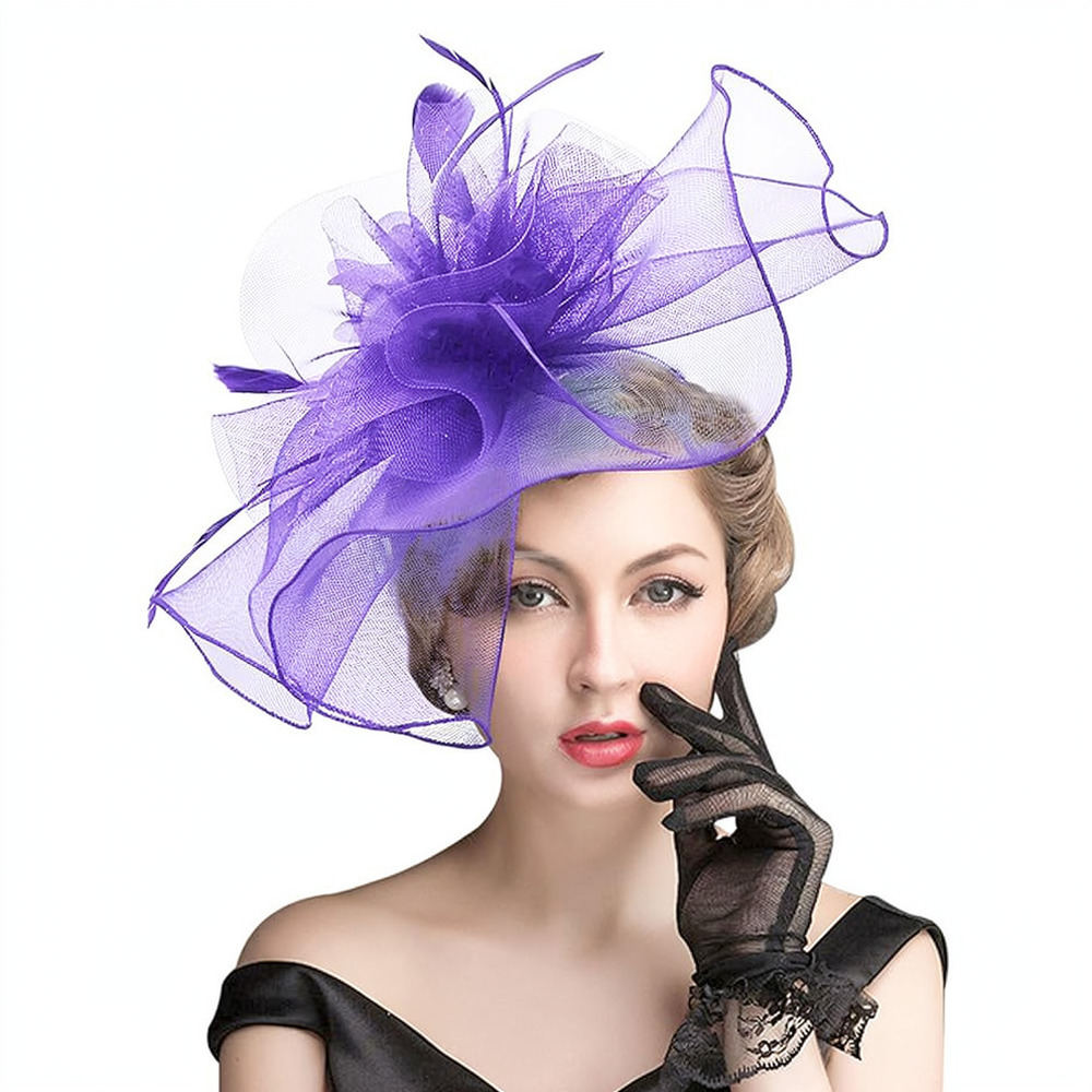 Retro Mesh Feather Fascinator  - Women'S Fashion Kentucky Derby review and price
